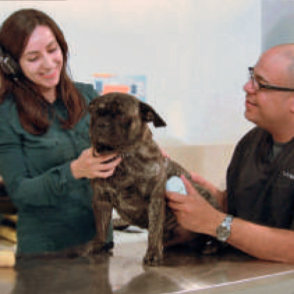 Ekuore digital stethoscope